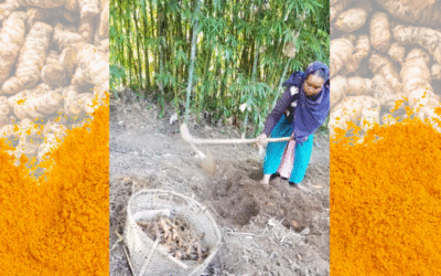 Sustainable September: The Story Aranyam Naturals Lives By