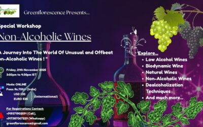 Explore The World of Non-Alcoholic Wines